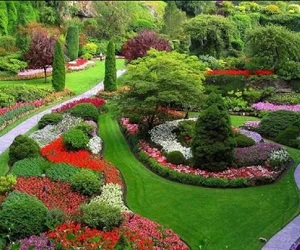 Landscaping contractors